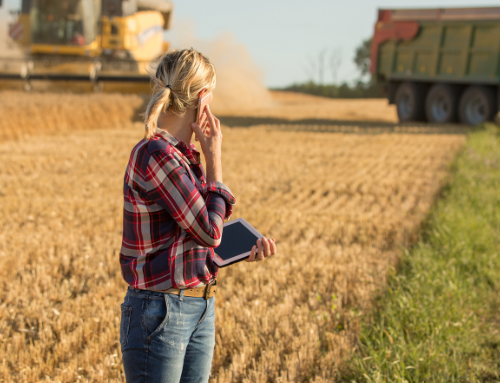 Ny server för Gröna schema – snabbare och smidigare