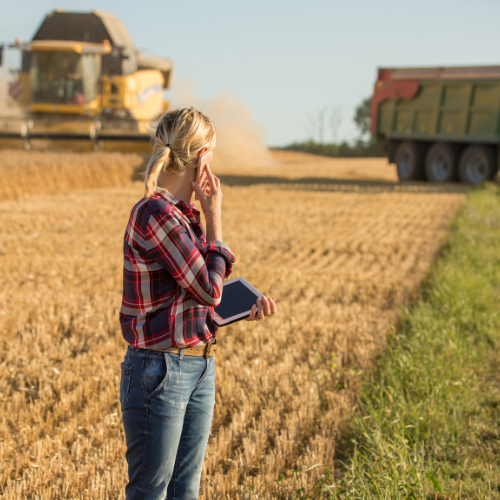 Skörd i växtodlingen