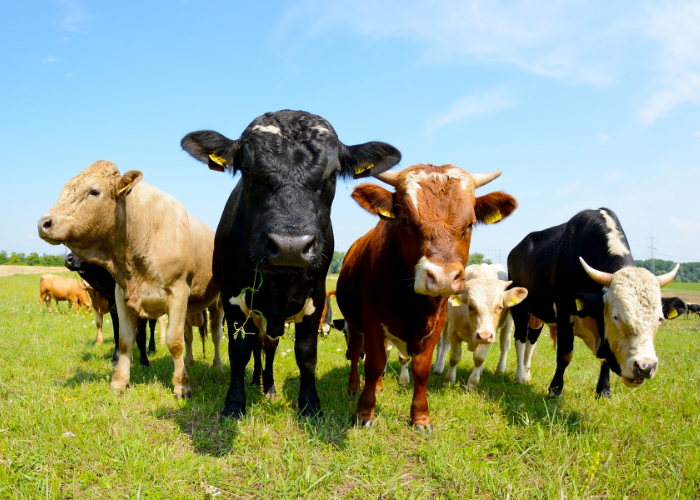 IT-verktyg måste vara enkla att använda