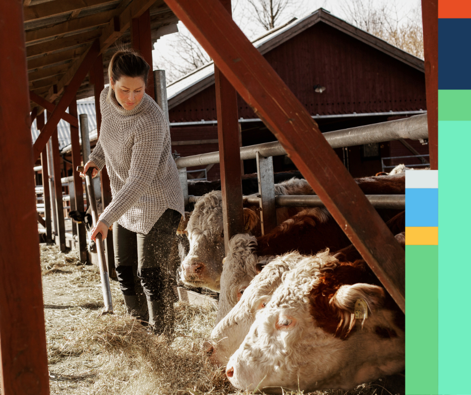 Smarta verktyg i lantbruket